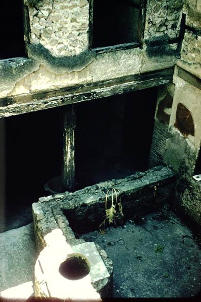 III.14, Herculaneum, 1957. Looking east across courtyard/garden. Photo by Stanley A. Jashemski.
Source: The Wilhelmina and Stanley A. Jashemski archive in the University of Maryland Library, Special Collections (See collection page) and made available under the Creative Commons Attribution-Non Commercial License v.4. See Licence and use details. J57f0444